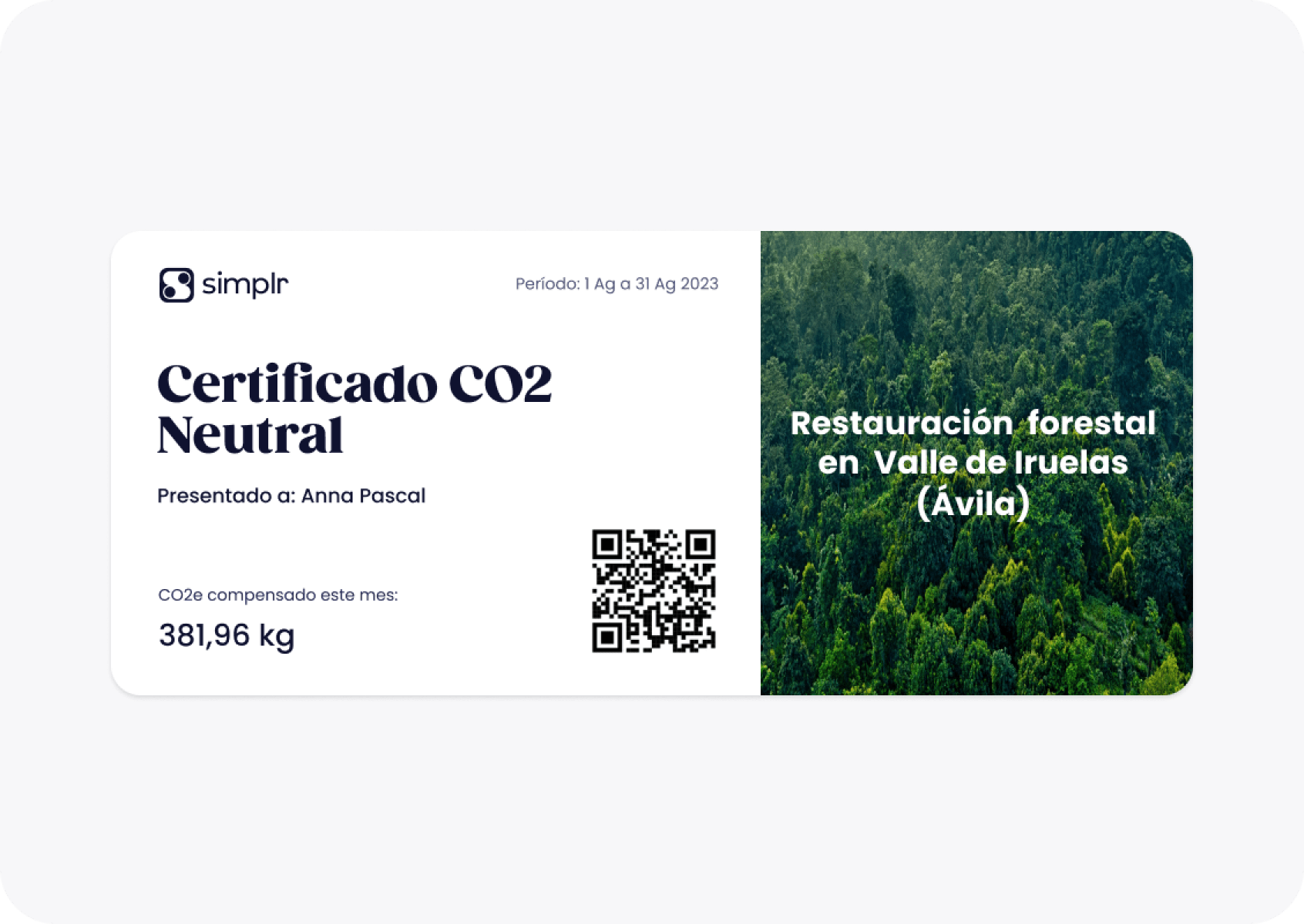 Impulsa la sostenibilidad de tu empresa