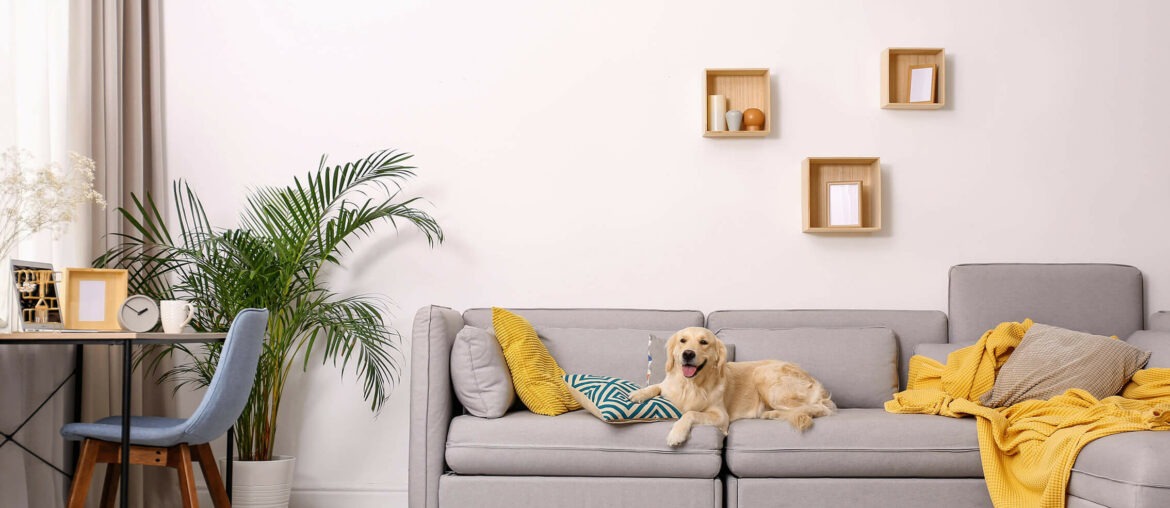 decorar tu casa con muebles por suscripción