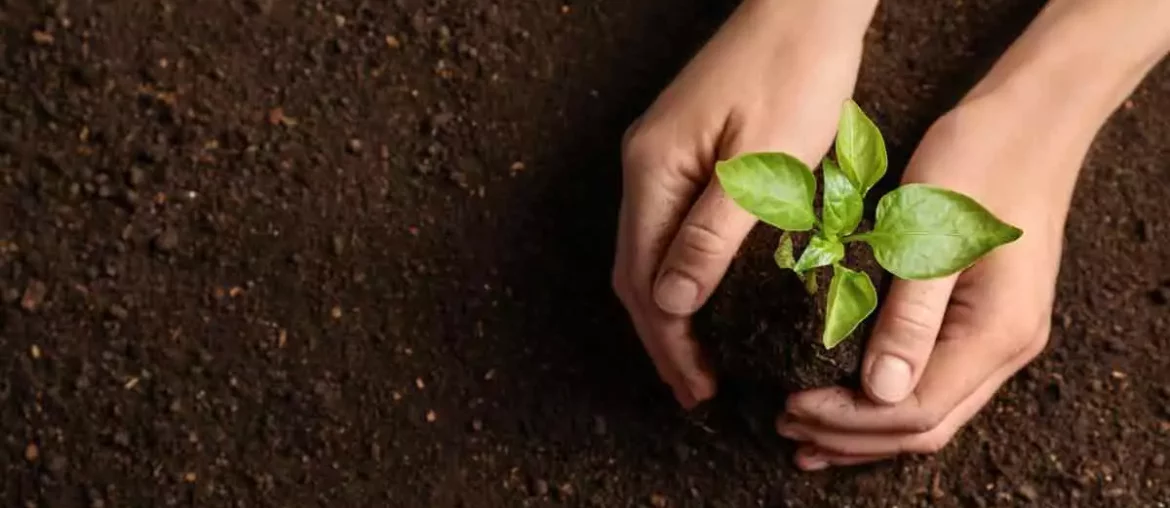 Celebra el Día Mundial del Reciclaje con estas actividades para cuidar el medio ambiente Día mundial del reciclaje