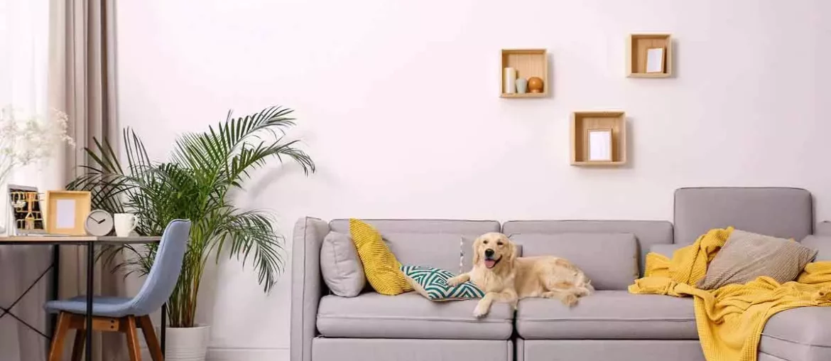 Home decor con muebles por suscripcioón con Simplr