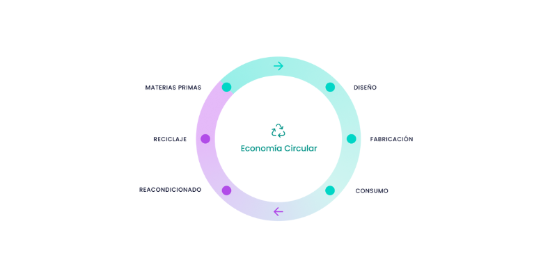 3 formas de compensar la huella de carbono